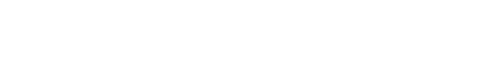 Logo-Schrift-White